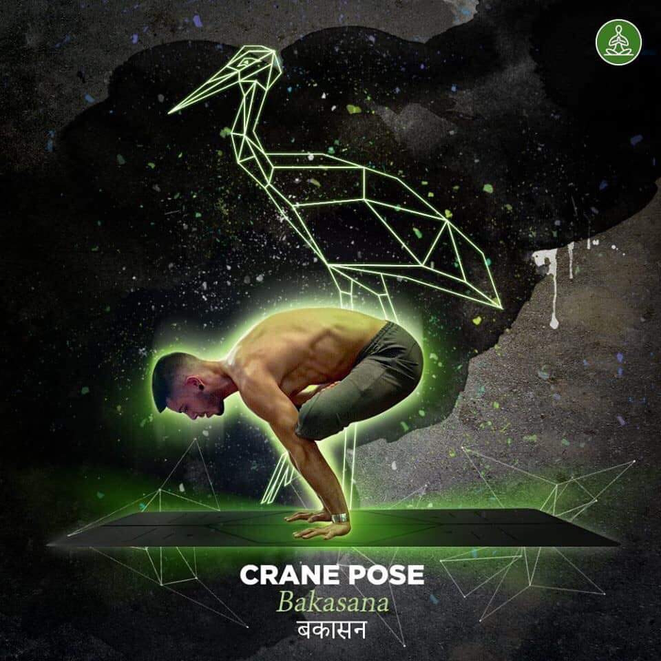 bakasana - crane pose