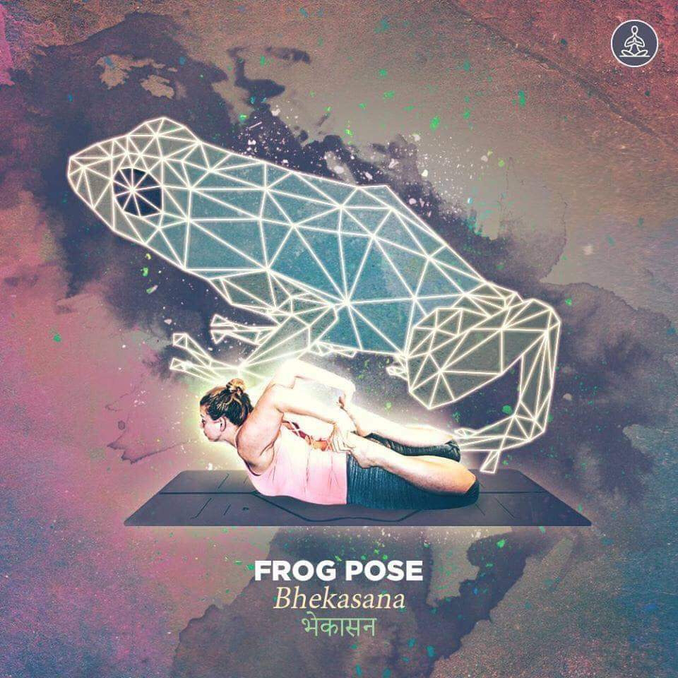 bhekasana - frog pose
