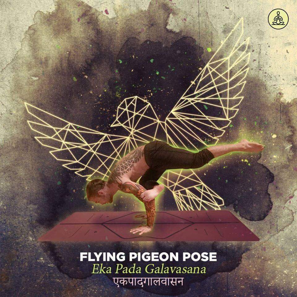 eka pada galavasana - flying pigeon pose