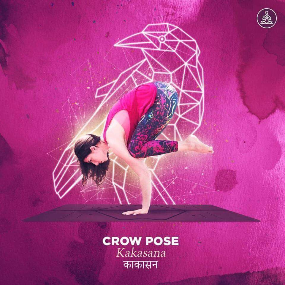 kakasana - crow pose
