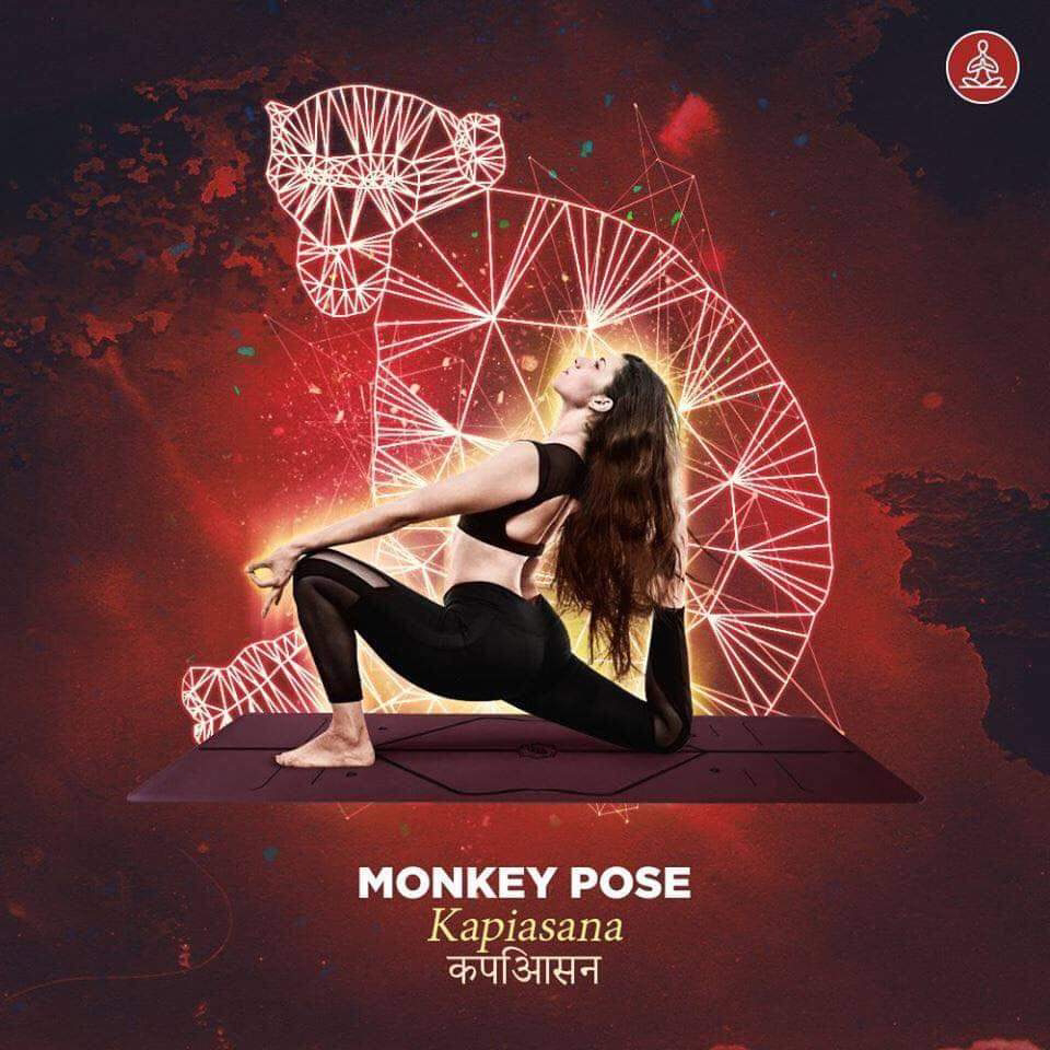 kapiasana - monkey pose
