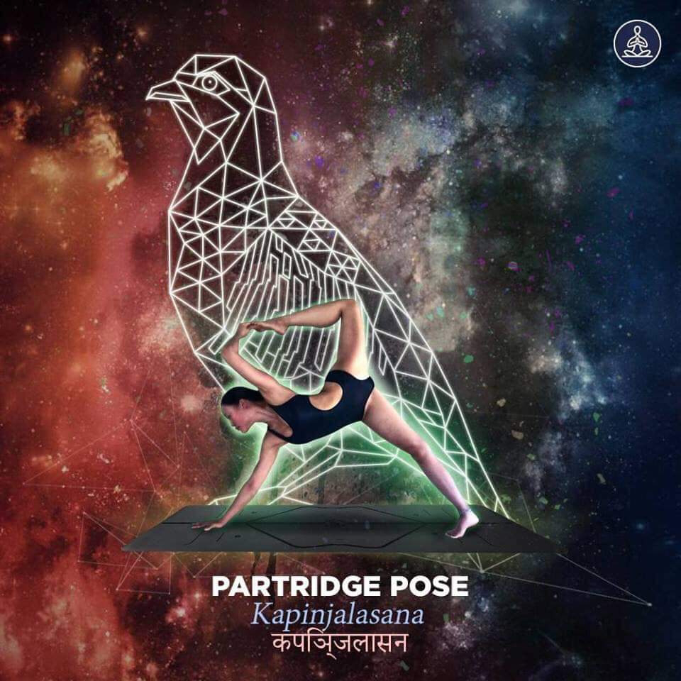 kapinjalasana - partridge pose