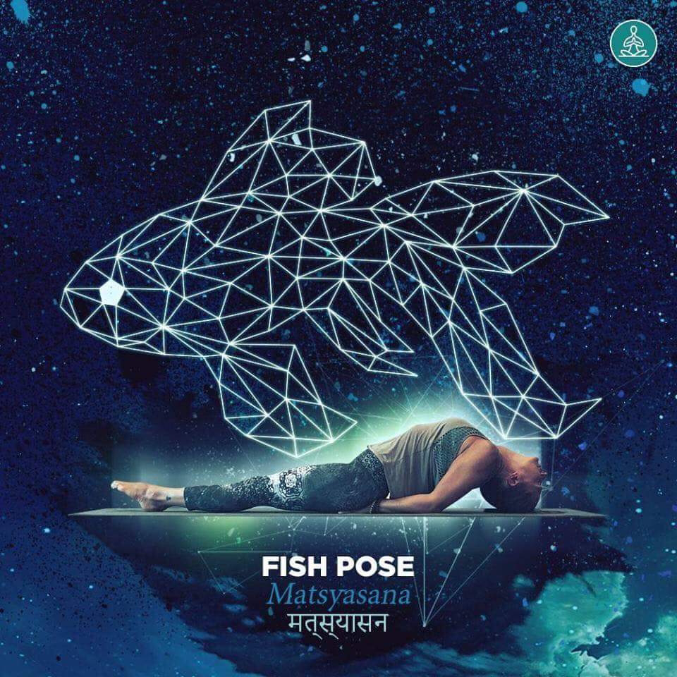 matsyasana - fish pose