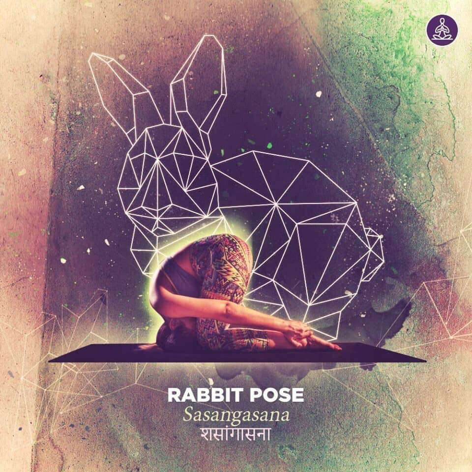 sasangasana - rabbit pose