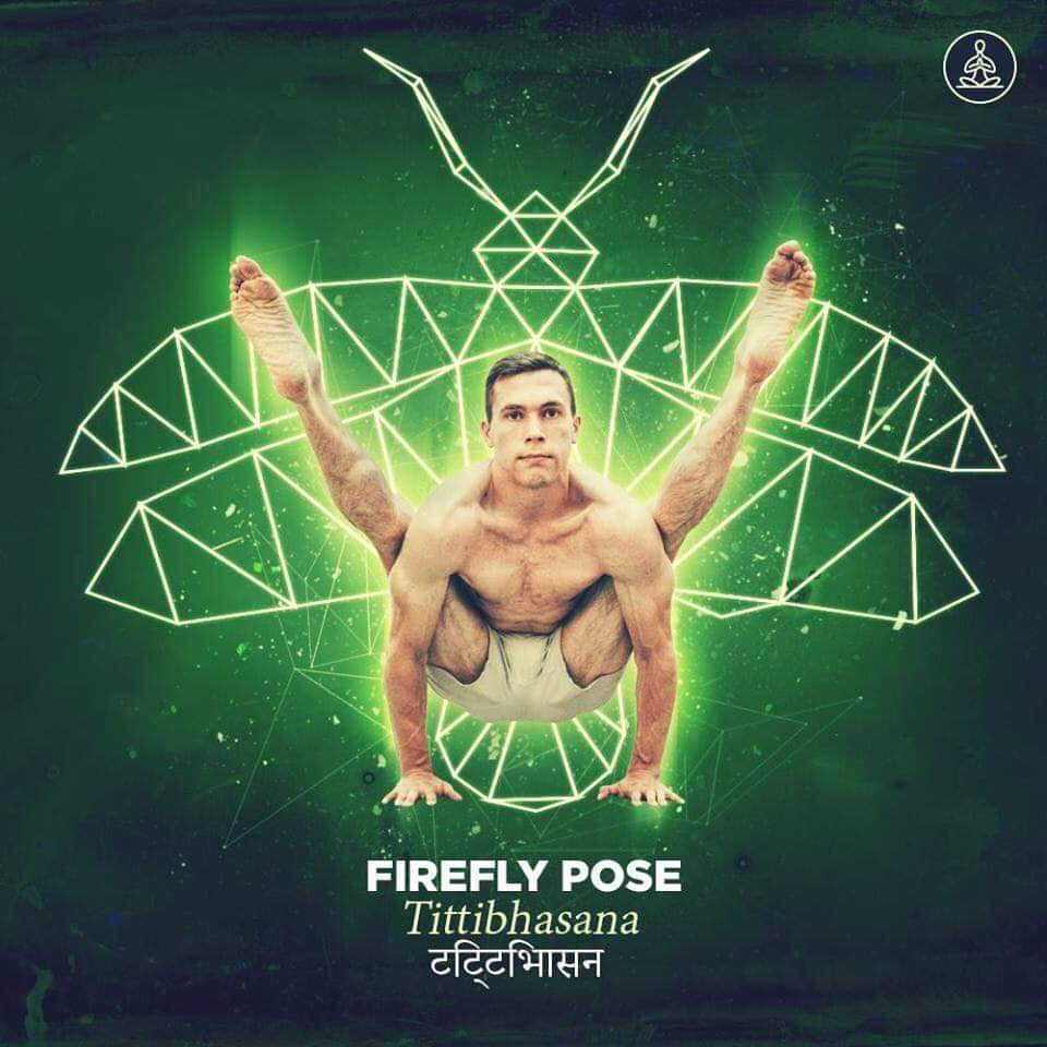 tittibhasana - firefly