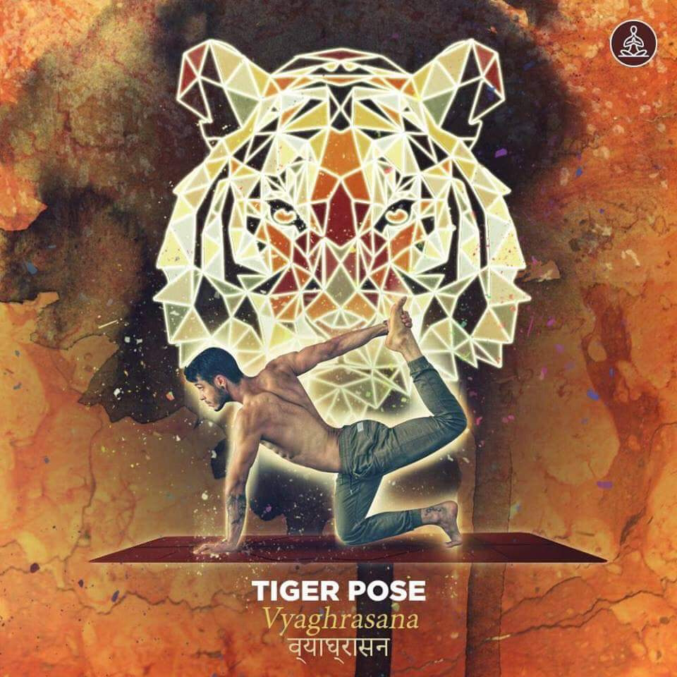 vyaghrasana - tiger pose